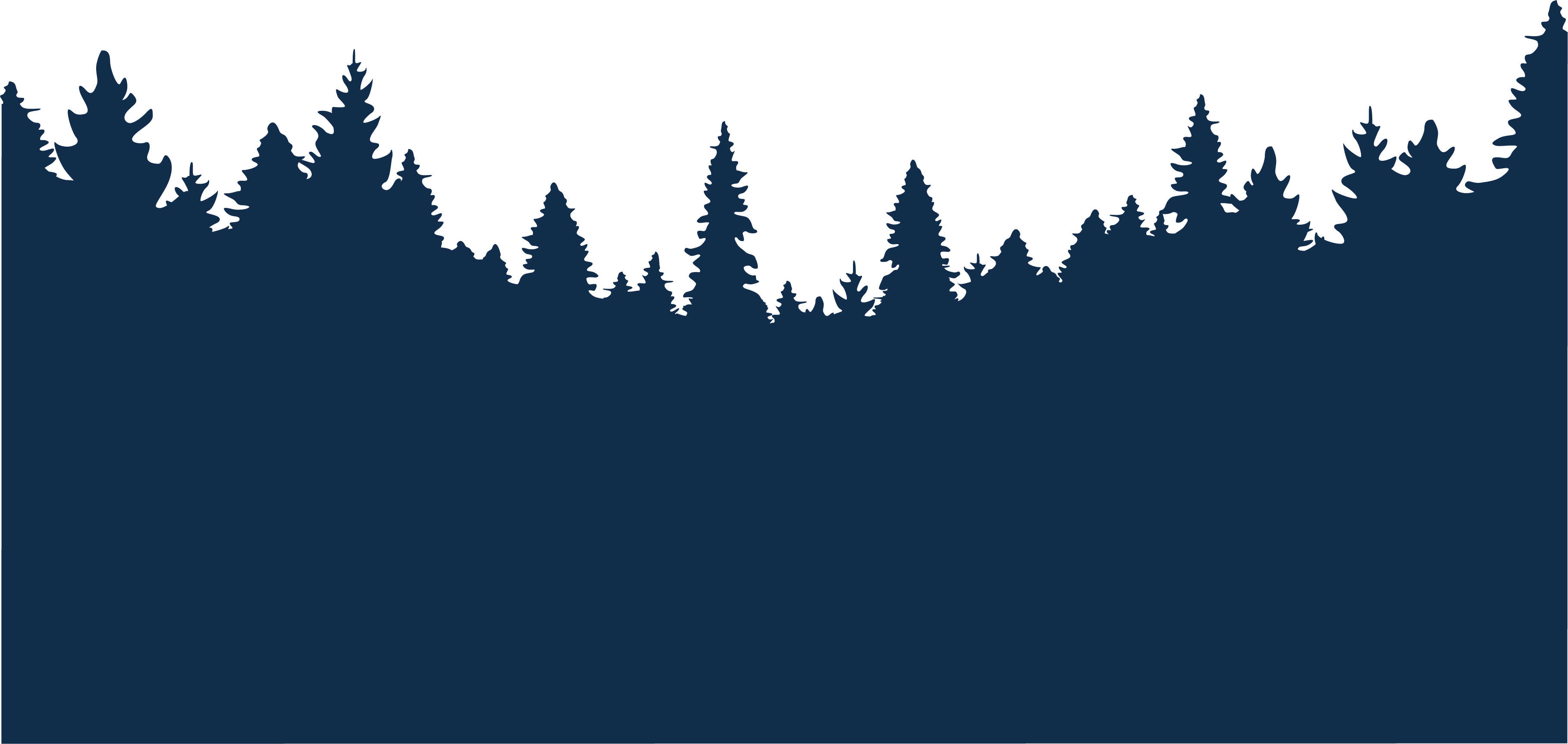 blaue-tannen