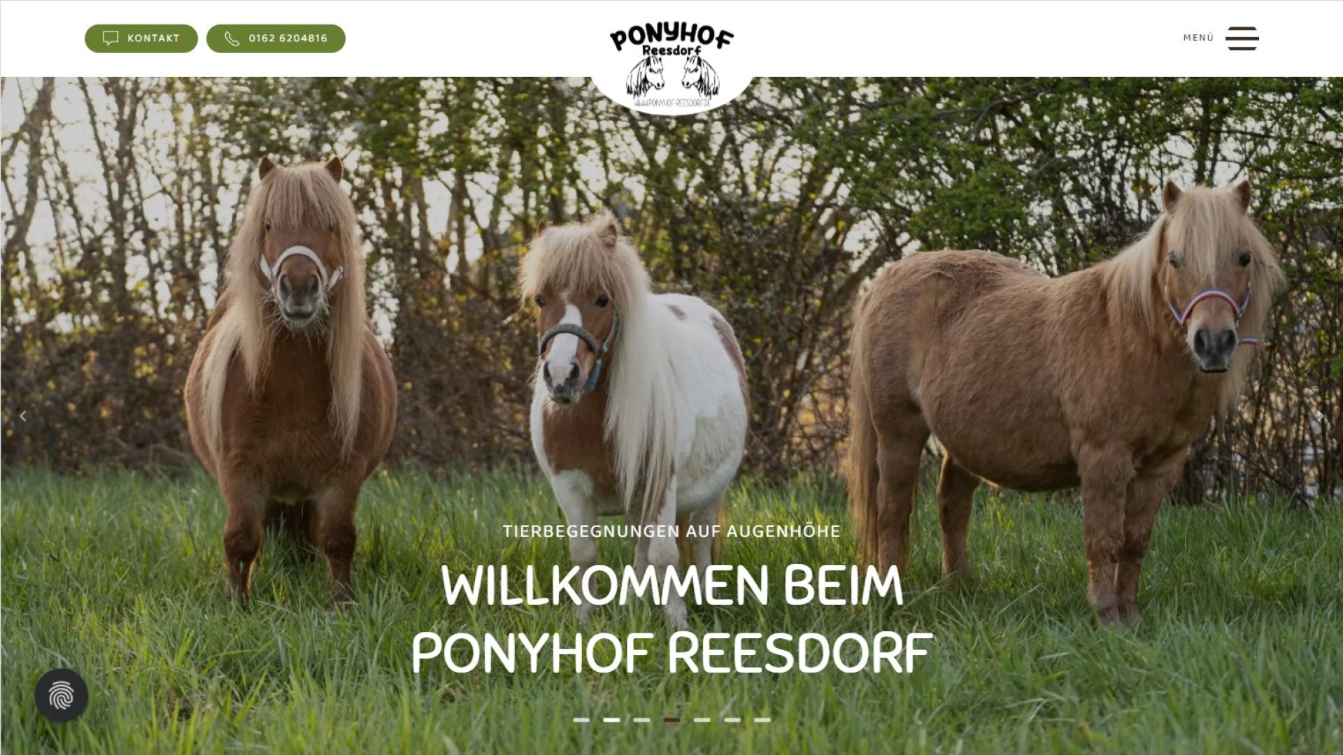 startbereich-ponyhof-reesdorf